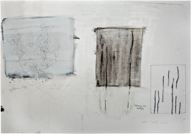 Bois 13, 2010, 49 x 70 cm, encre et acrylique sur carton