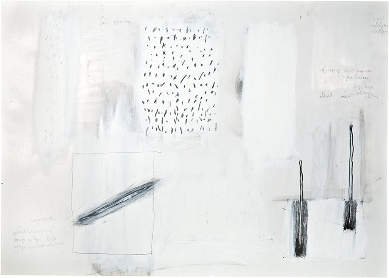 Karina Waschko, Bois 17, 2011, 50 x 70 cm, encre et acrylique sur carton 