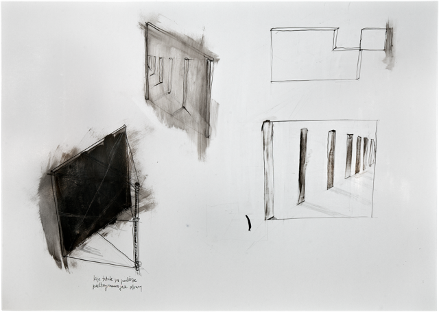 Bois 12, 2010, 50 x 70 cm, encre et acrylique sur carton