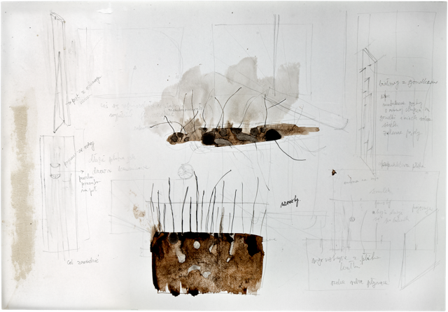 Bois 14, 2011, 50 x 72 cm, encre et acrylique sur carton