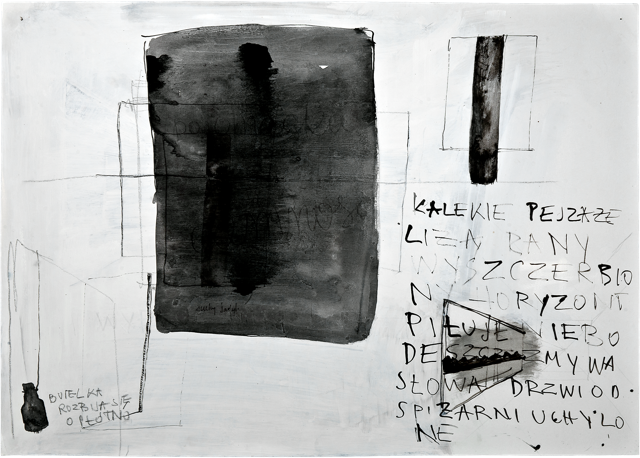 Écritures 9, 2011, 51 x 71,8 cm, encre et acrylique sur carton