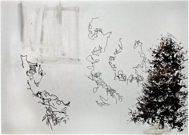 Bois 26, 2011, 50 x 70 cm, encre et acrylique sur carton